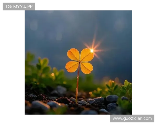 刘少昂祝好运四叶草头像挂件新